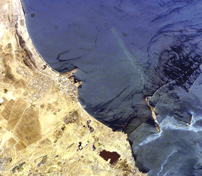 Космический снимок позволяет четко определить ареалы нефтяного загрязнения и принять необходимые меры